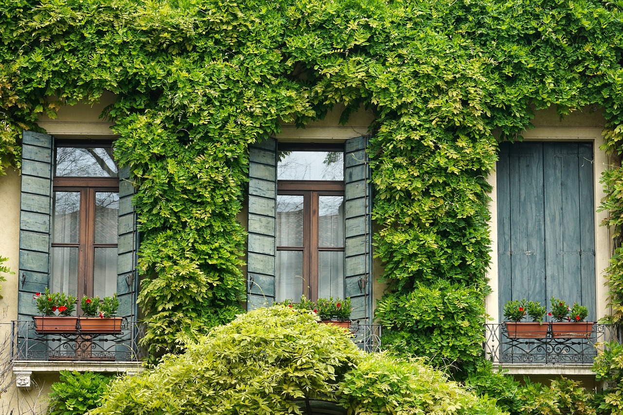 The Benefits of a Professional Window Treatment Consultation